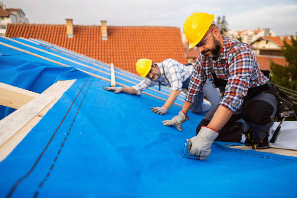 Best Metal Roofing Contractor  in Coushatta, LA